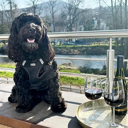 Exklusive Mit Ahrblick 2 Appartement Bad Neuenahr-Ahrweiler